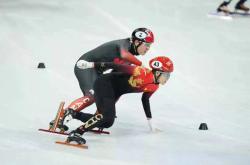 开云体育app-法国女子拳击队勇夺金牌，敢拼敢争的简单介绍