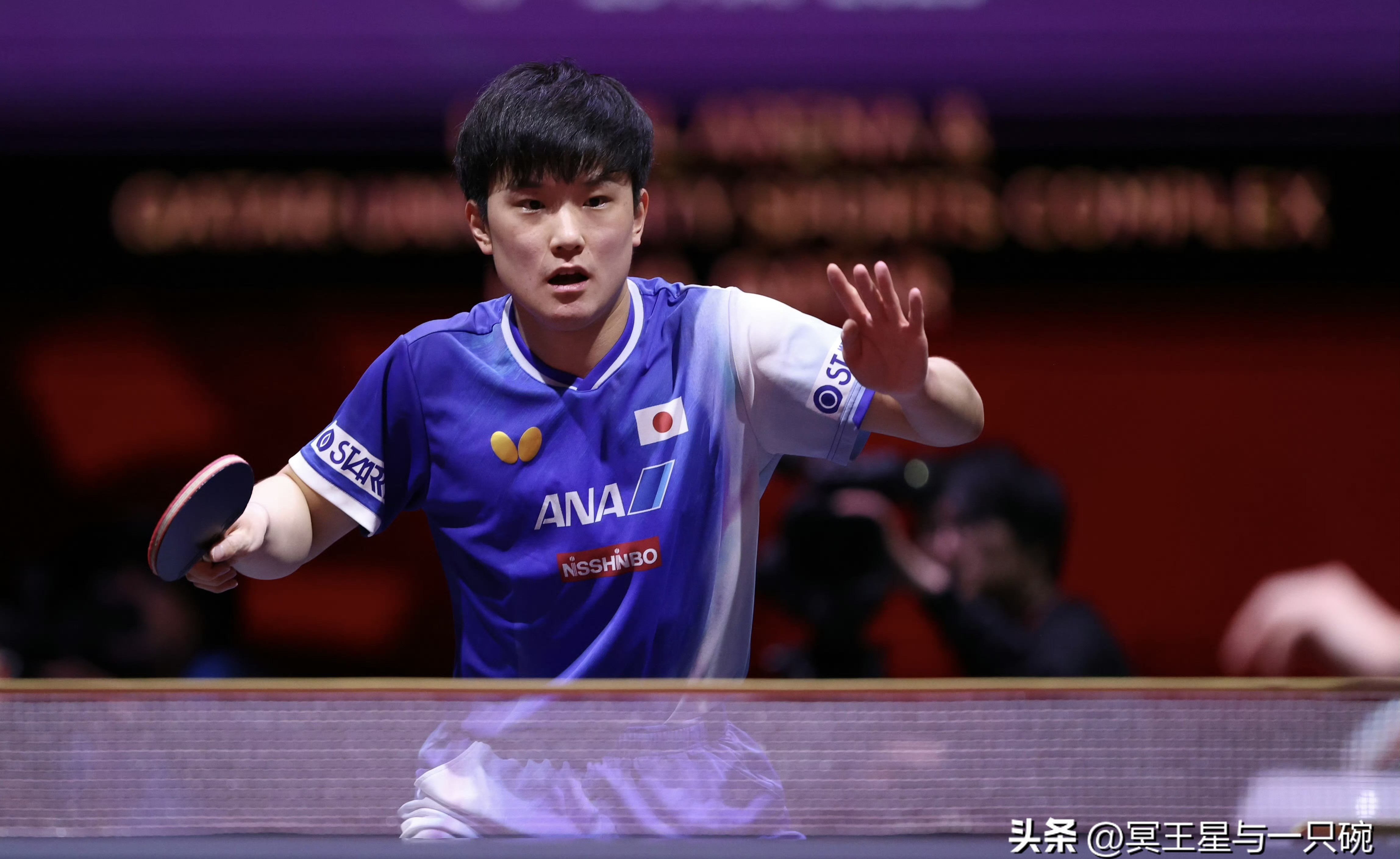 关于奥地利乒乓球队力克韩国乒乓球队，张本智和关键制胜的信息